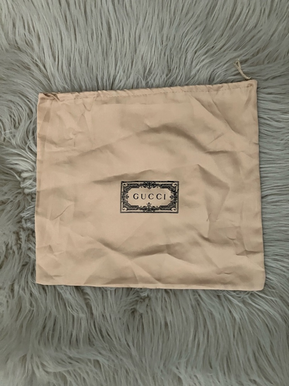Gucci Beige Dust Bag with Black Logo - Picture 1 of 5